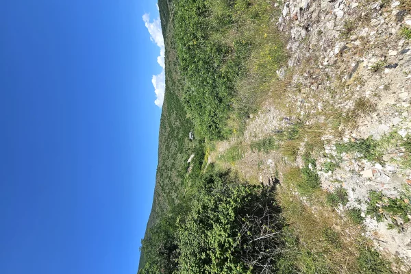 Shitet prona 2000m2 Adresa Pogradec