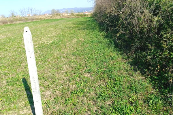 Shitet prona 2750m2 Me certefikate pronesie