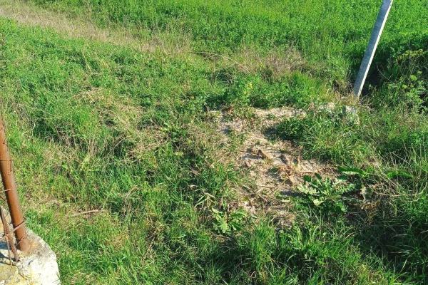 Shitet prona 2750m2 Me certefikate pronesie