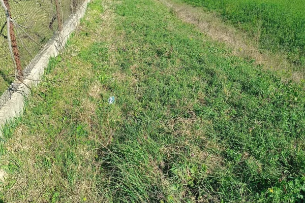 Shitet prona 2750m2 Me certefikate pronesie
