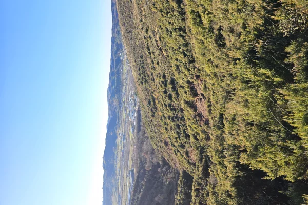Shitet prona 146 000m2 Toke ullishte Me hipotek 