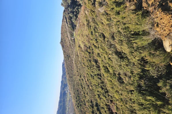 Shitet prona 146 000m2 Toke ullishte Me hipotek 