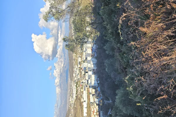 Shitet prona 146 000m2 Toke ullishte Me hipotek 