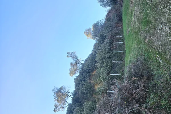 Shitet prona 146 000m2 Toke ullishte Me hipotek 