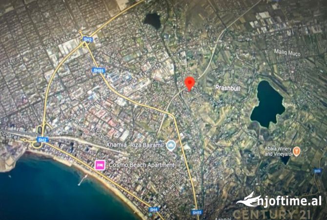 Shitet toke ne Rrashbull, Durres.