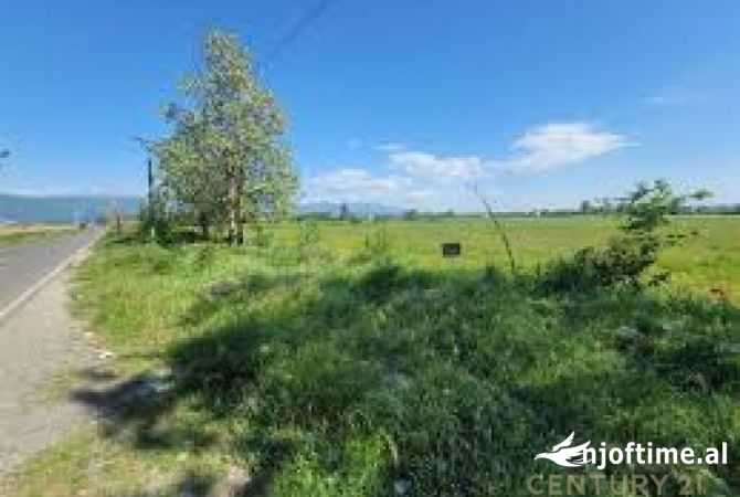 Truall ose Toke ne Lezhe - 17,000 Euro