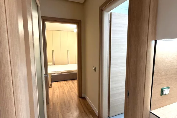 Shtepi me qera Apartament ne Tirane, 1+1, Mobilimi E mobiluar, Pagesa 800  Euro.