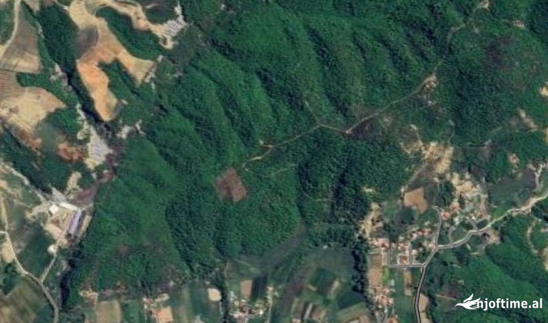 Shitet toke ne Vishaj