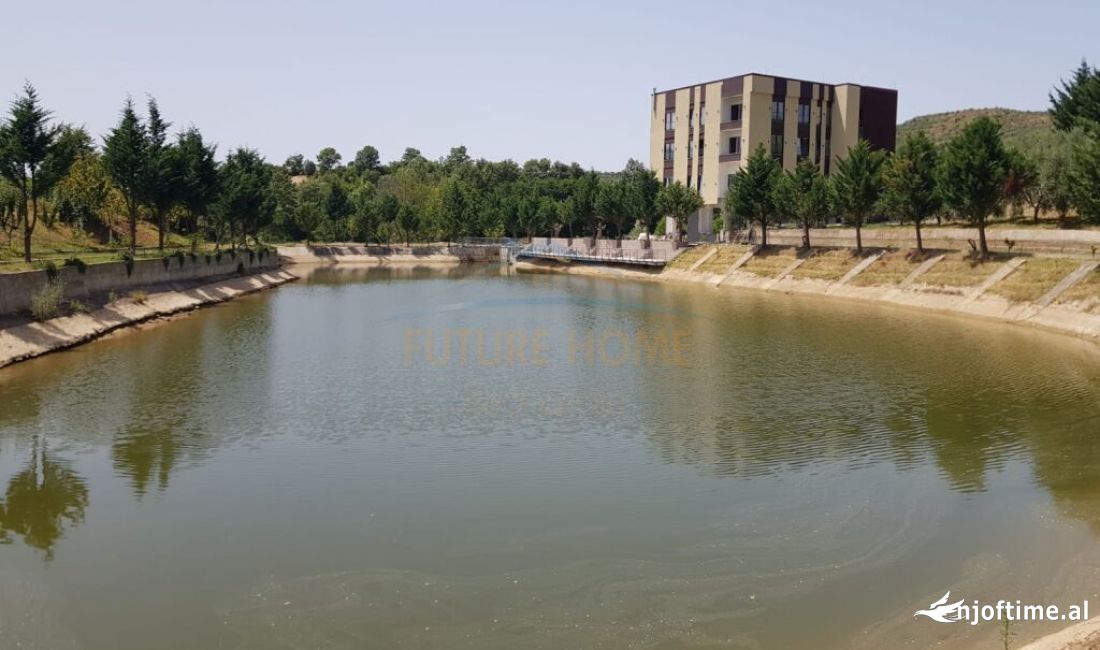  Hotel 4 kateshe, per Qera MULLET