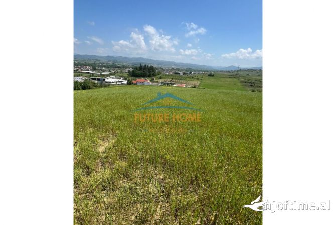 Truall ose Toke ne Durres - 200,000 Euro