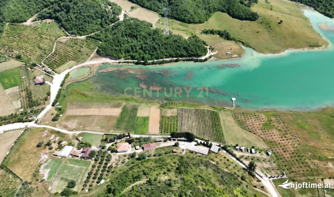 🌿 Toke per Shitje prane Liqenit te Kusit, Kashar! 🌿 Land for Sale near Kusi Lake, Kashar!