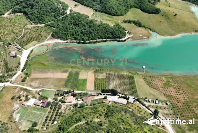 🌿 Tokë për Shitje pranë Liqenit të Kusit, Kashar! 🌿 Land for Sale near Kusi Lake, Kashar!