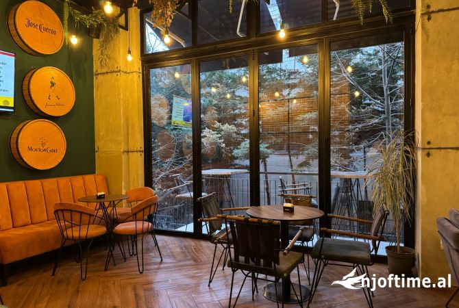 Ambient biznesi ne shitje 2+1 ne Tirane - 550,000 Euro