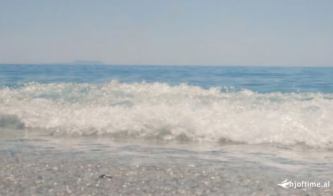 🍹SHESIM BIZNES BAR RESTORANT BEACH-BAR NE GREEN COAST! | 🏝FOR SALE BEACH-BAR RESTAURANT BUSINESS !