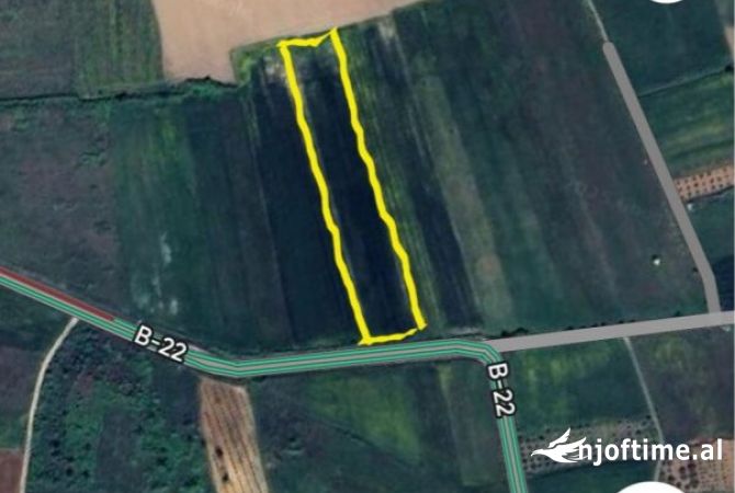 🌿 TOKË PËR SHITJE NË VISHAJ! 🏡 | LAND FOR SALE IN VISHAJ!