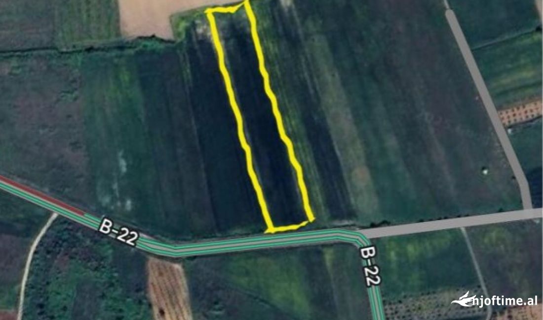 🌿 TOKE PER SHITJE NE VISHAJ! 🏡 | LAND FOR SALE IN VISHAJ!