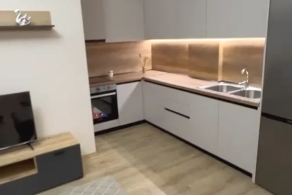 Apartment for rent in Tirana 1+1, Furnished