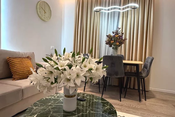 Apartment for rent in Tirana 1+1, Furnished