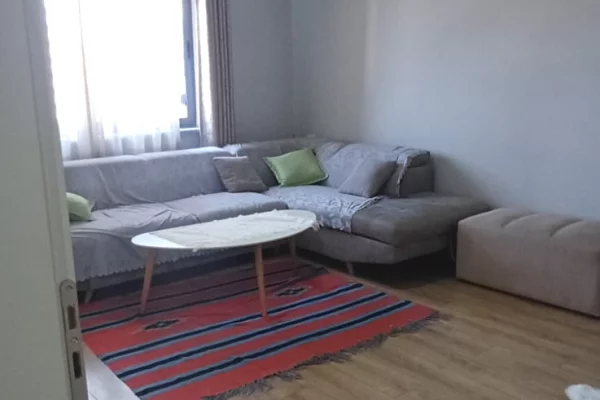 Shtepi ne shitje Apartament ne Tirane, 1+1, Mobilimi E mobiluar, Pagesa 87,000  Euro.