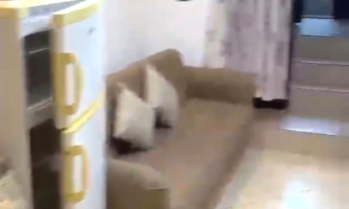 Shtepi me qera Apartament ne Tirane, 1+1, Mobilimi E mobiluar, Pagesa 26,000  Leke.