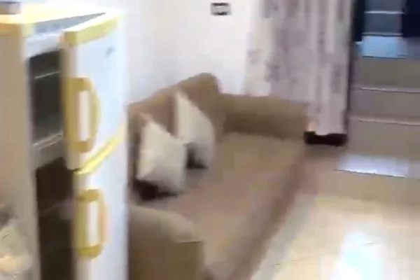 Shtepi me qera 1+1 ne Tirane - 26,000 Leke