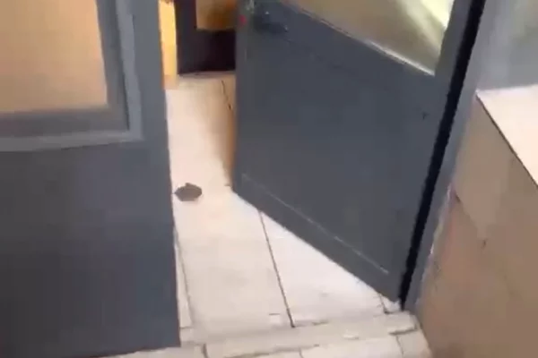 Shtepi me qera Apartament ne Tirane, 1+1, Mobilimi E mobiluar, Pagesa 26,000  Leke.