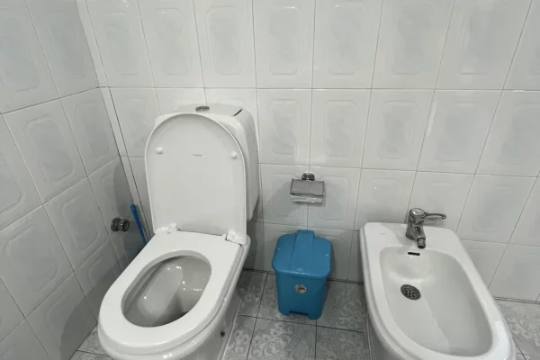 Shtepi me qera Shtepi Private ne Tirane, 2+1, Mobilimi E mobiluar, Pagesa 60,000  Leke.