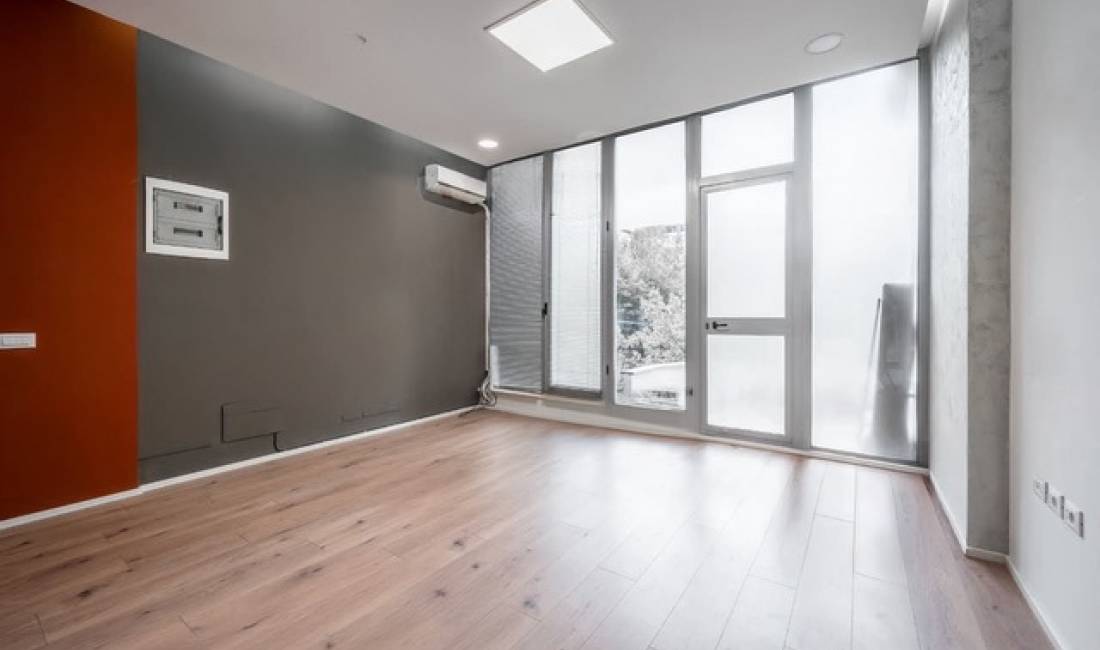 Ambient zyre me qira perball Juridikut, Sheshi Willson!