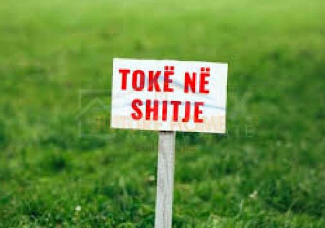 Shitet, Toke (Are), Jube ,Durres 