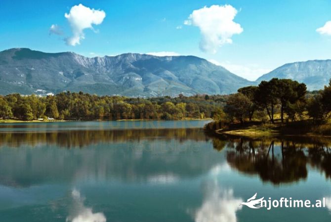 Ambiente Commerciale in Affitto 1+1 a Tirana - 4,600 Euro