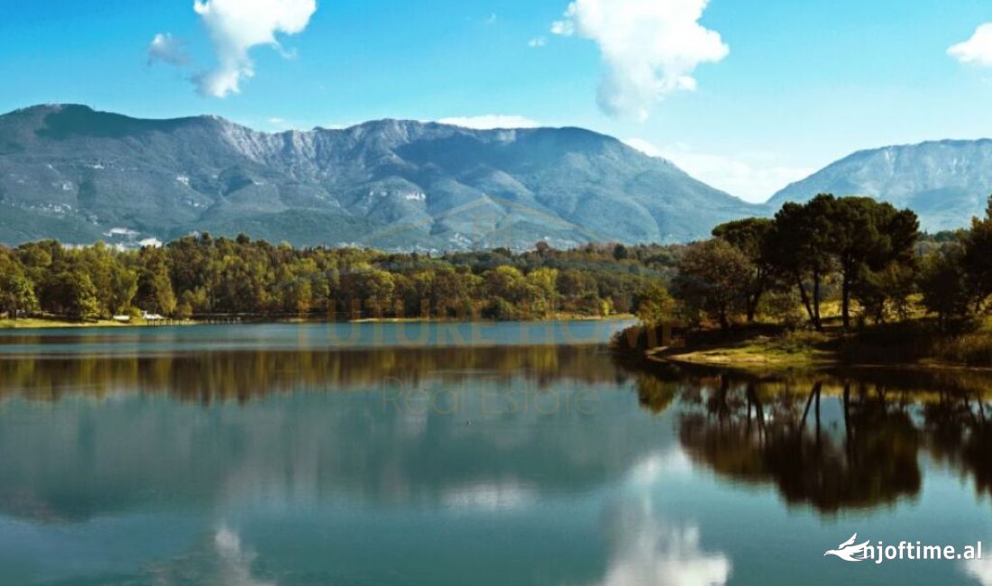 Liqeni Artificial, Tirane , Qera, Ambient Biznesi, 