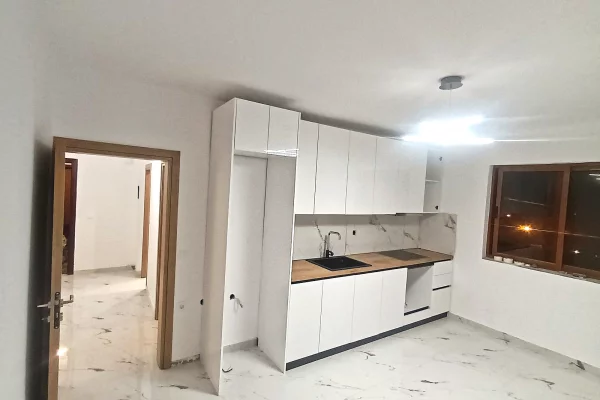 Apartment for rent in Tirana 1+1, In Part