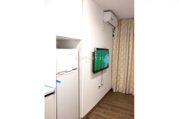 Shtepi me qera Apartament ne Tirane, Garsoniere, Mobilimi E mobiluar, Pagesa 30,000  Leke.