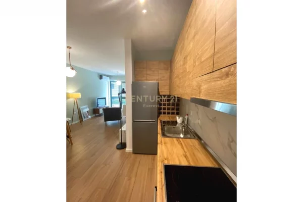 Shtepi ne shitje Apartament ne Tirane, 1+1, Mobilimi E mobiluar, Pagesa 158,000  Euro.