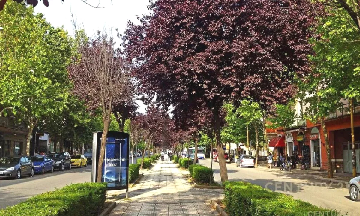 Shtepi ne shitje Apartament ne Tirane, 2+1, Mobilimi E mobiluar, Pagesa 33,000,000  Leke.