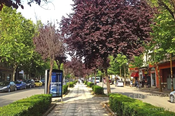 Shtepi ne shitje 2+1 ne Tirane - 33,000,000 Leke