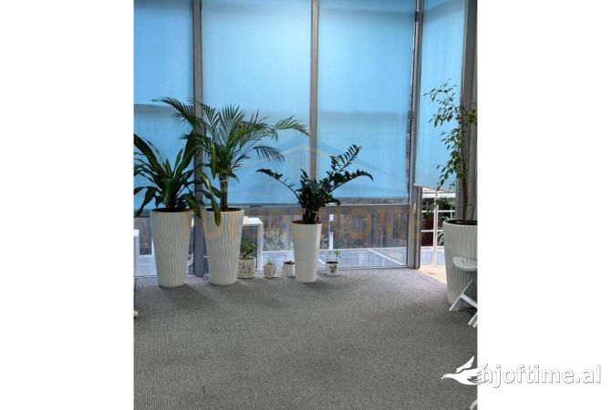 Ambiente Commerciale in Affitto 1+1 a Tirana - 1,600 Euro