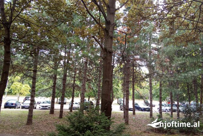 Ambiente Commerciale in Vendita 3+1 a Peja - 248,000 Euro