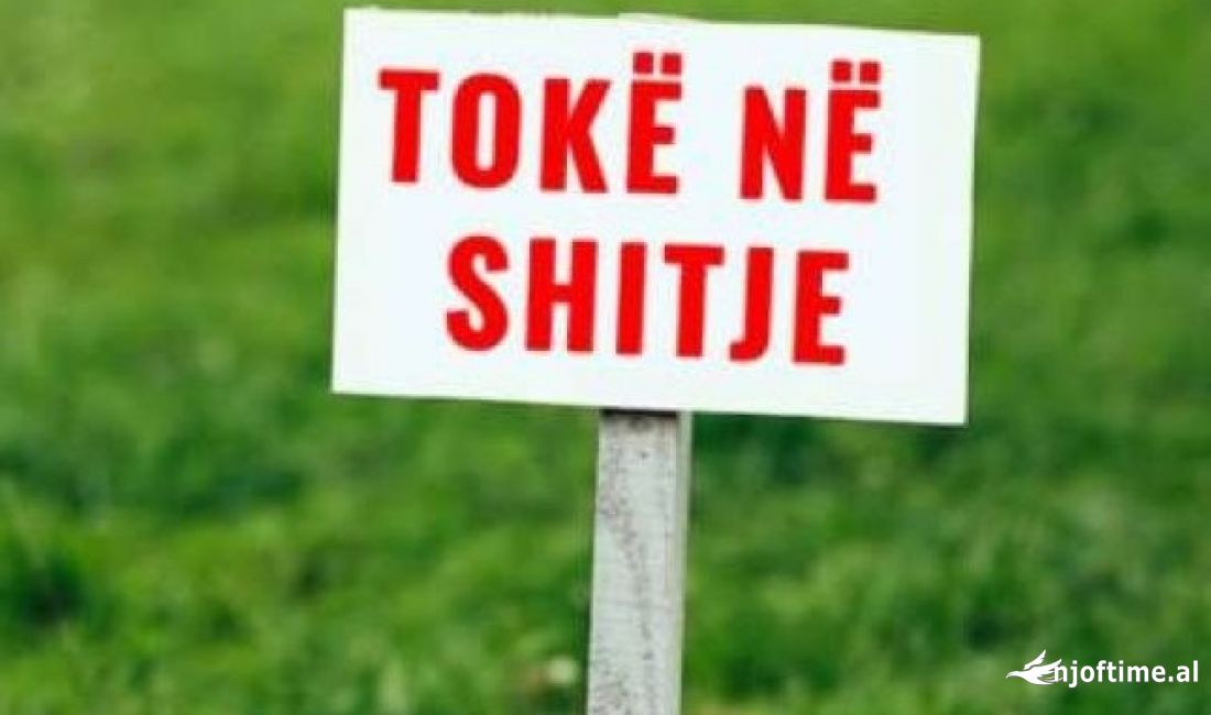 SHITET TOKE 2000m2 NE FARKE 
