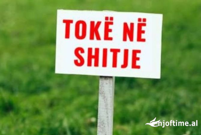SHITET TOKE 2000m2 NE FARKE 