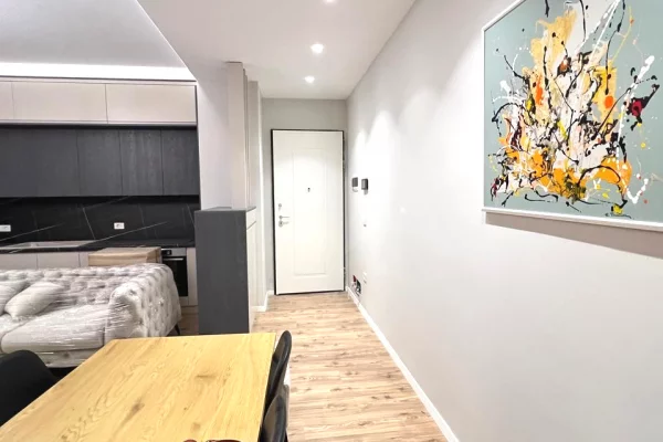 Shtepi me qera Apartament ne Tirane, 1+1, Mobilimi E mobiluar, Pagesa 80,000  Leke.