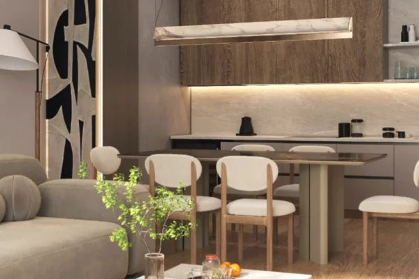 Shtepi ne shitje Duplex(shtepi me 2 kate) ne Tirane, 2+1, Mobilimi Bosh, pa mobiluar, Pagesa 370,000  Euro.