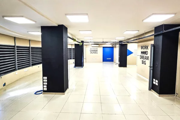 Shtepi ne shitje Vila Luksoze ne Tirane, 3+1, Mobilimi Bosh, pa mobiluar, Pagesa 750,000  Euro.
