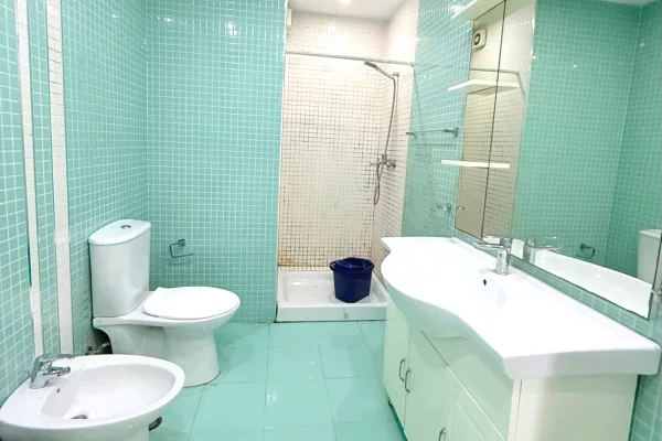House for Rent Apartment in Tirana, 1+1, Furniture Furnished, Payment 55,000  Leke.