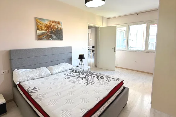 House for Rent Apartment in Tirana, 1+1, Furniture Furnished, Payment 55,000  Leke.