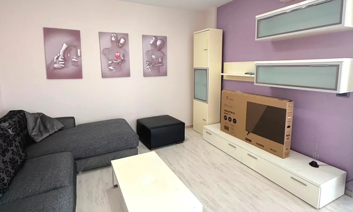 House for Rent Apartment in Tirana, 1+1, Furniture Furnished, Payment 55,000  Leke.