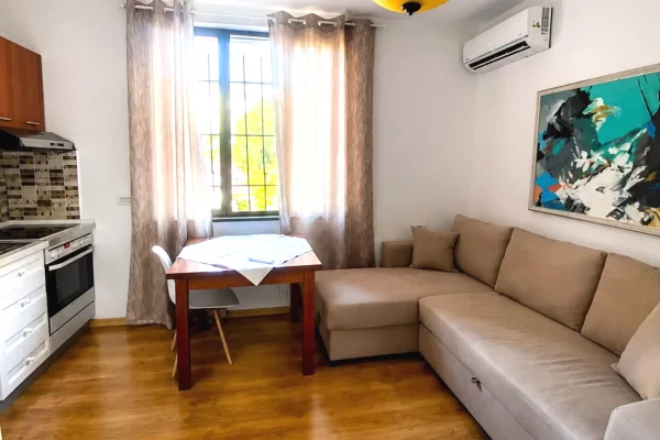 Shtepi me qera Apartament ne Tirane, 1+1, Mobilimi E mobiluar, Pagesa 65,000  Leke.