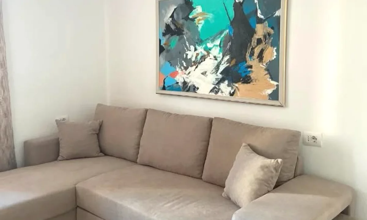 Shtepi me qera Apartament ne Tirane, 1+1, Mobilimi E mobiluar, Pagesa 65,000  Leke.