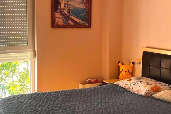 Shtepi ne shitje Apartament ne Tirane, 2+1, Mobilimi E mobiluar, Pagesa 235,000  Euro.