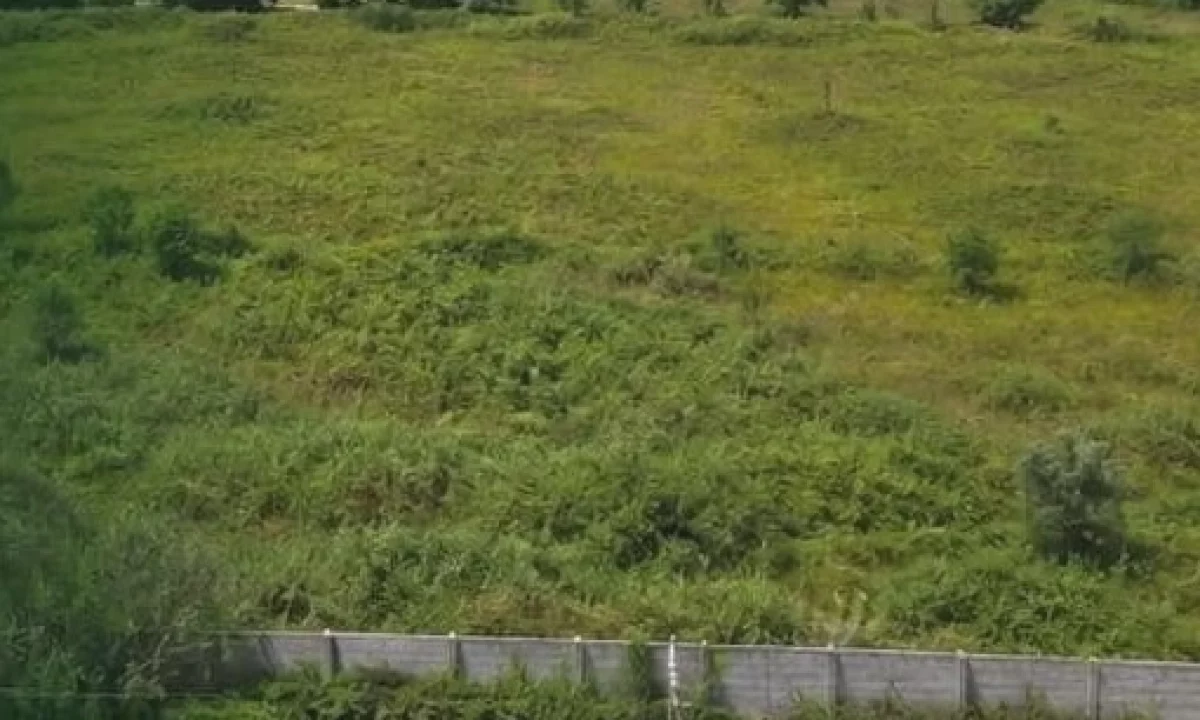 🌿 SHITET TOKE | LINZE, TIRANE 🏡